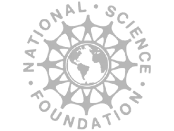 NSF logo